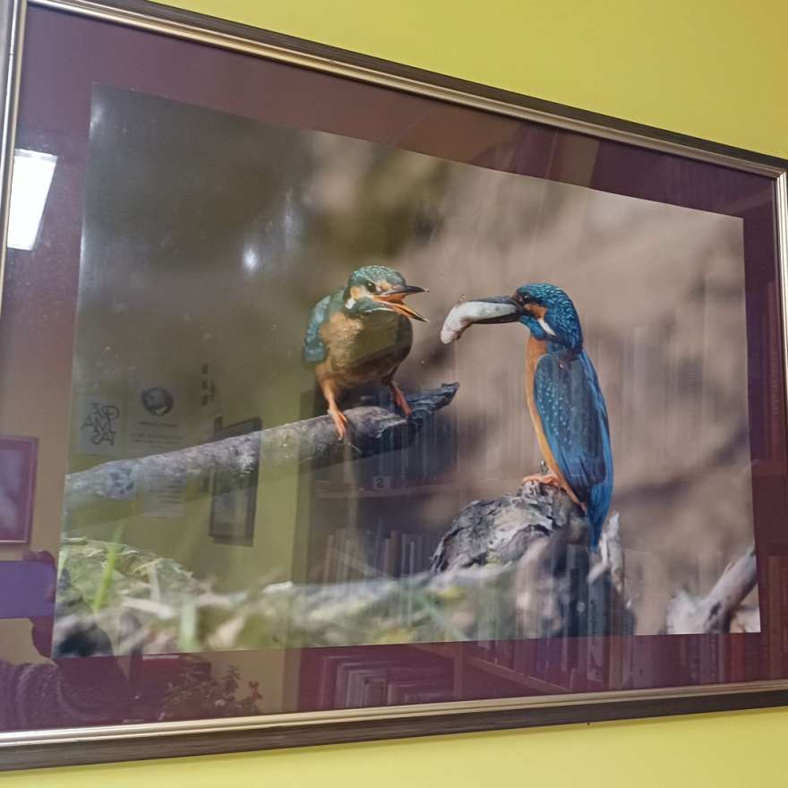 Dabas fotogrāfa Rolanda Lineja izstāde 