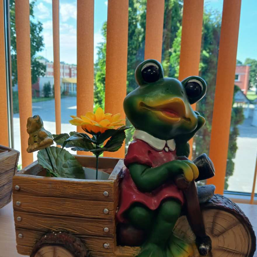 Jūnijs Misas bibliotēkā