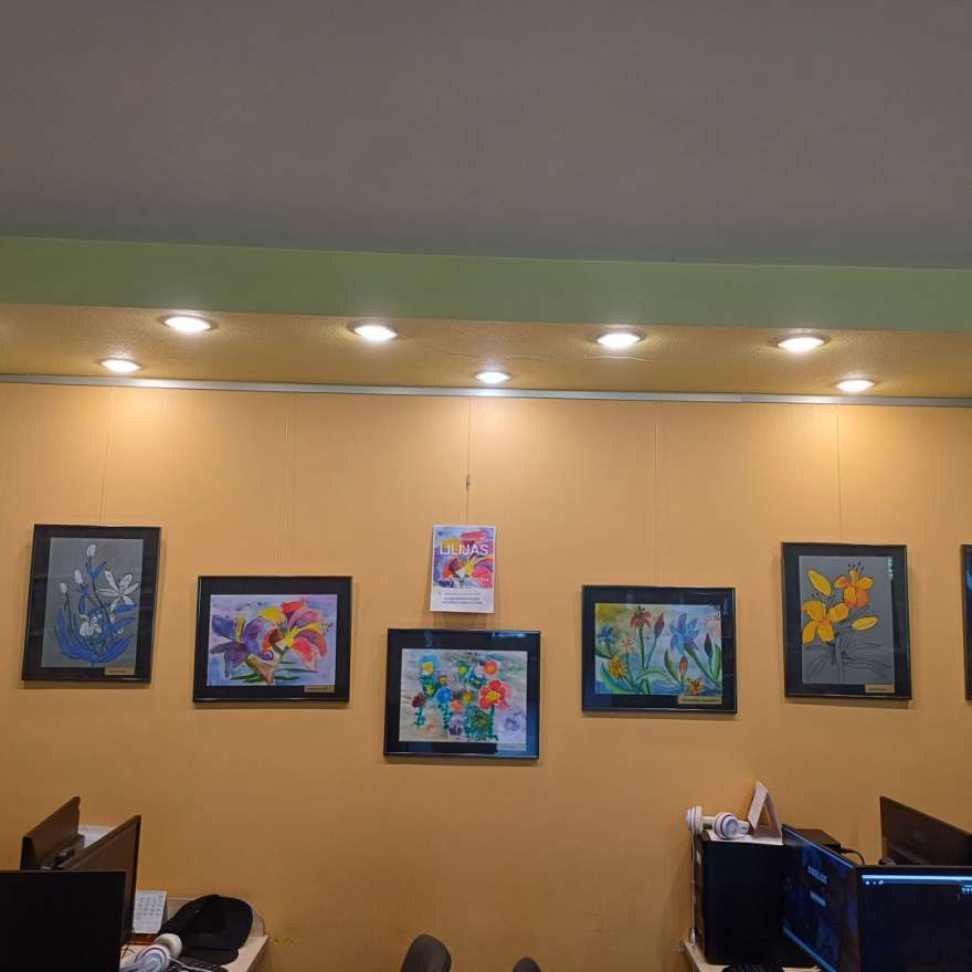 Vasaras krāšņākie ziedi - lilijas Jauncodē