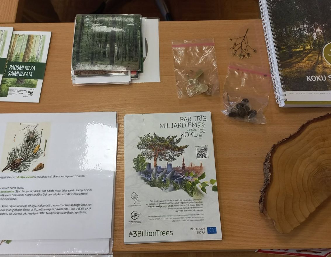 Lasītāji iepazīst meža kokus