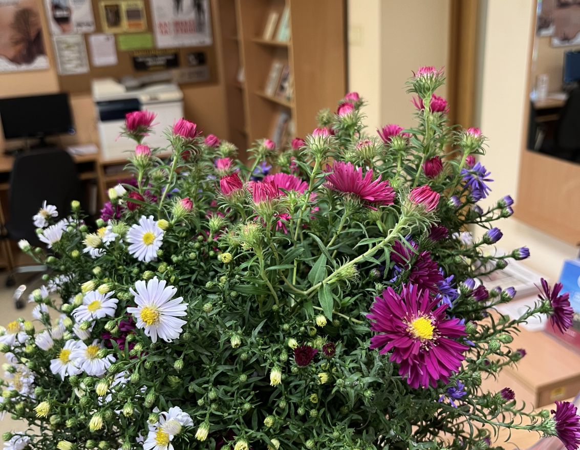 Miķeļdiena Svitenes bibliotēkā