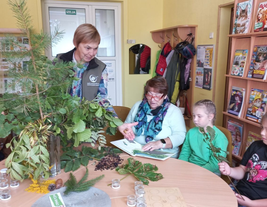 Lasītāji iepazīst meža kokus