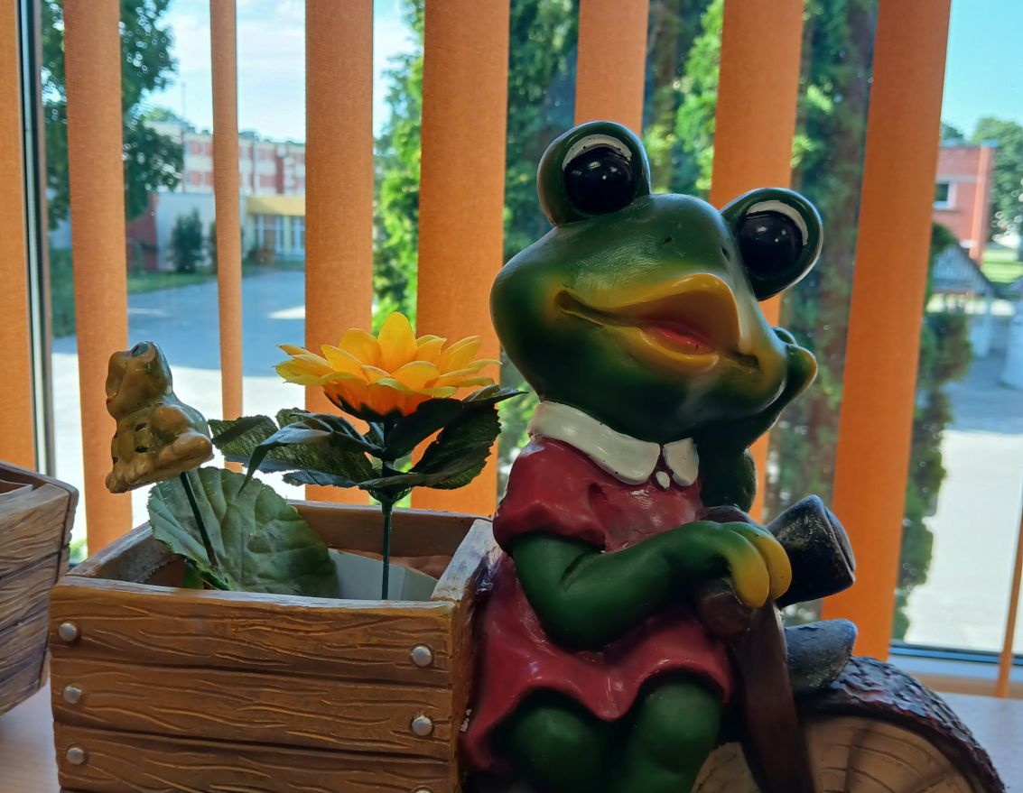 Jūnijs Misas bibliotēkā