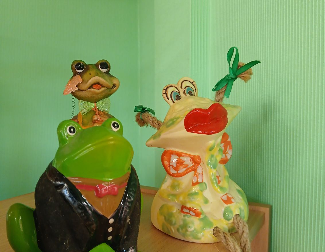 Jūnijs Misas bibliotēkā