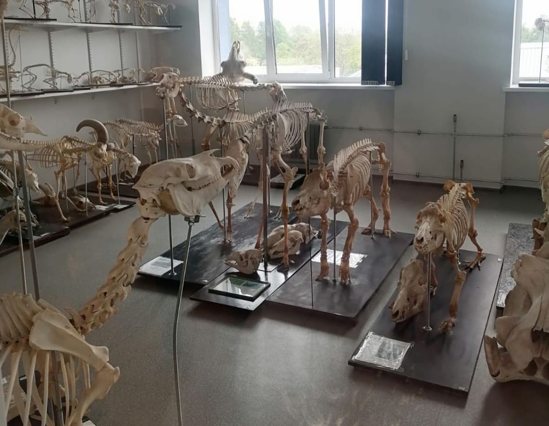 Piedzīvojumiem un zinā&scaron;anām bagāta diena Jelgavā!