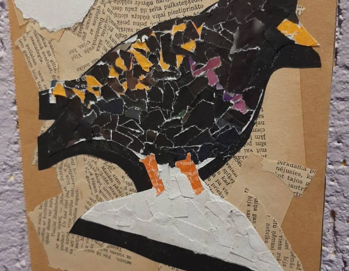 "Sagaidām mājas strazdus kopā ar Līdaku!" Putnu būru gatavo&scaron;ana strazdiem Ingmāra Līdakas vadībā