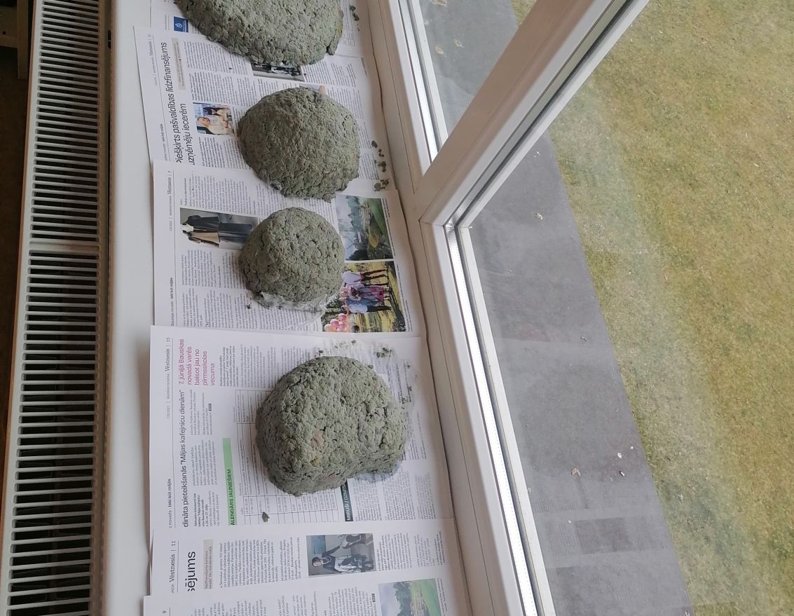 Rado&scaron;ā darbnīca "Lieldienu dekors"