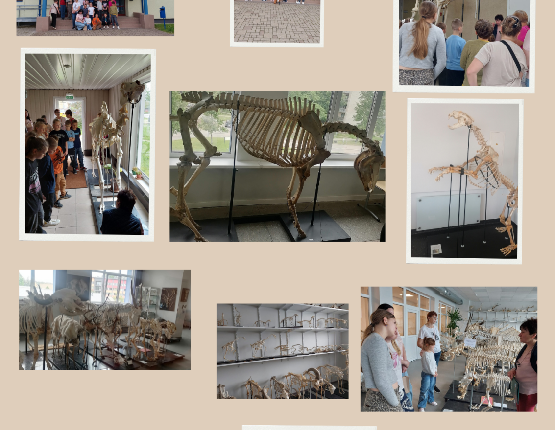 Izglītojo&scaron;s brauciens "Bērnu, jaunie&scaron;u un vecāku žūrijas" lasītājiem