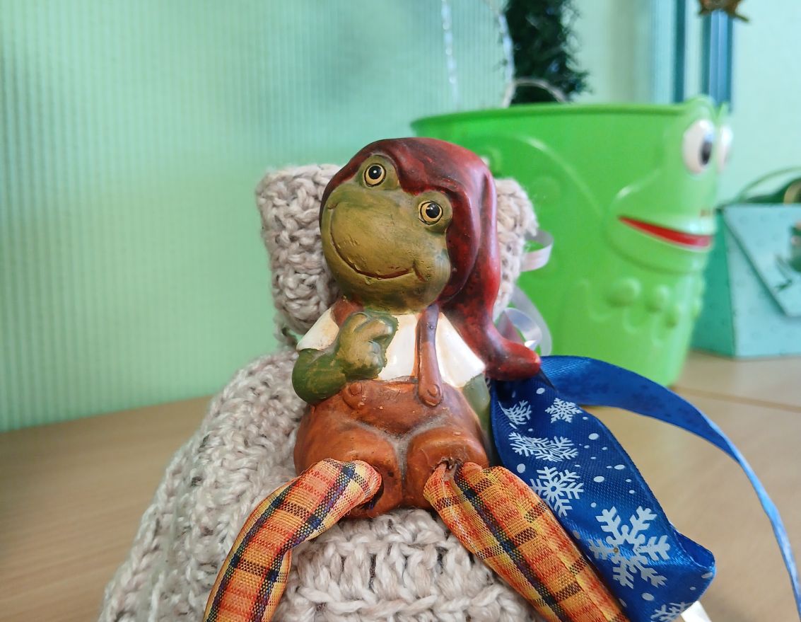 Jūnijs Misas bibliotēkā