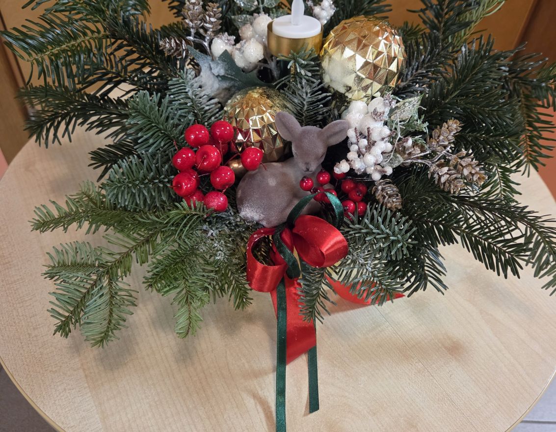 Rado&scaron;s vakars Zālītes bibliotēkā