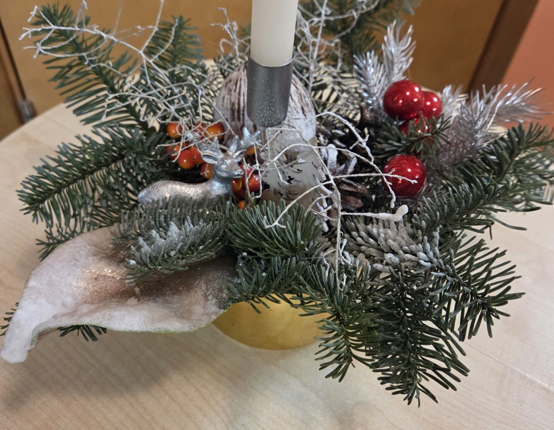 Rado&scaron;s vakars Zālītes bibliotēkā