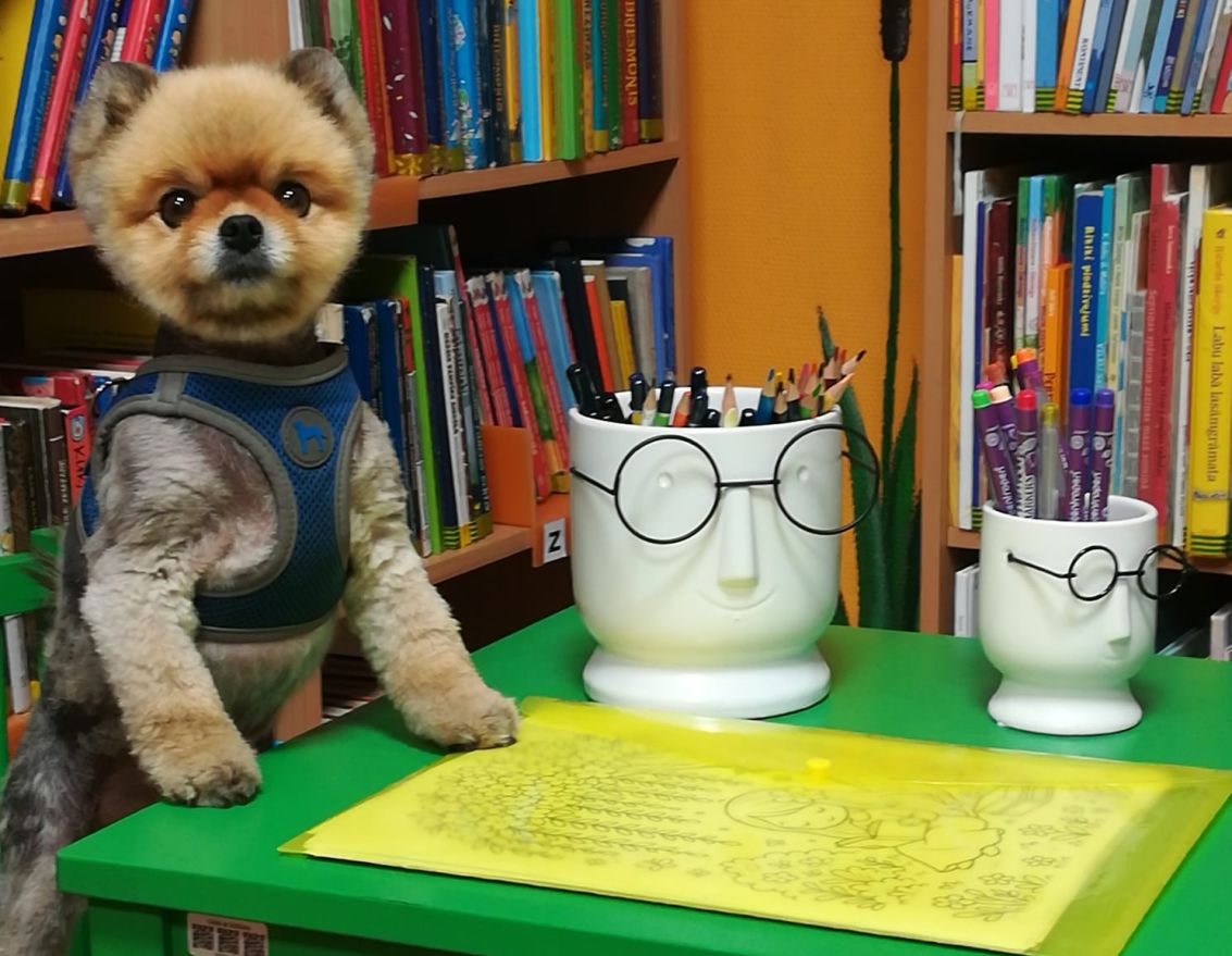 Tik&scaron;anās ar Ievu Branti