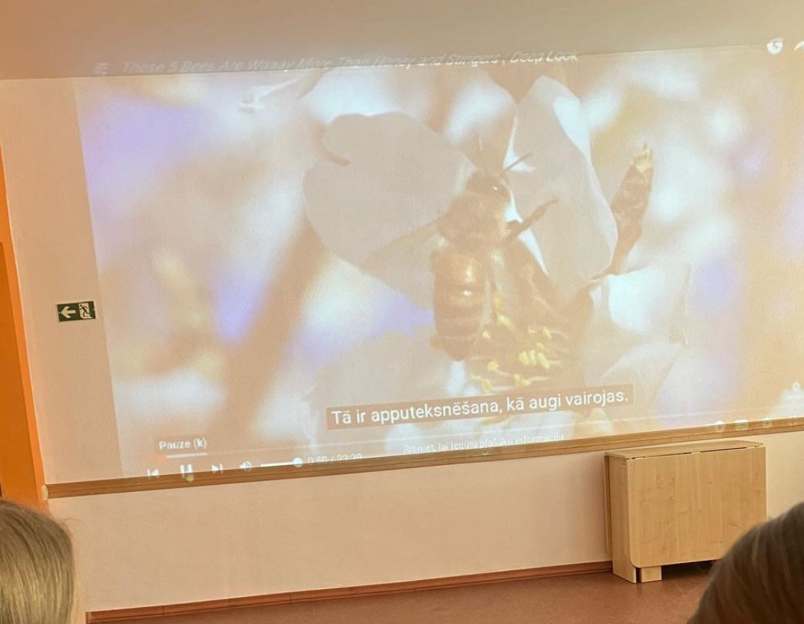 Viss par un ap bitēm