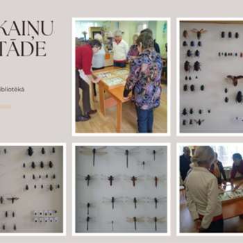 Emīla Ēmaņa kukaiņu privātkolekcija bibliotēkā