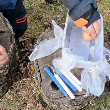 Rado&scaron;ā sestdiena "Skaistākā ola"