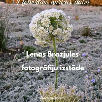 Notvertais mirklis dabā