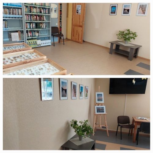 Ceraukstes pagasta Ceraukstes bibliotēka