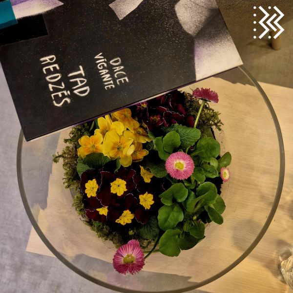 No idejas līdz stāstam: Tikšanās ar Daci Vīganti